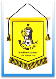 Printed Football Pennants